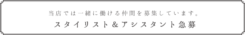 スタイリスト&アシスタント急募